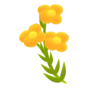 St. John’s Wort Icon